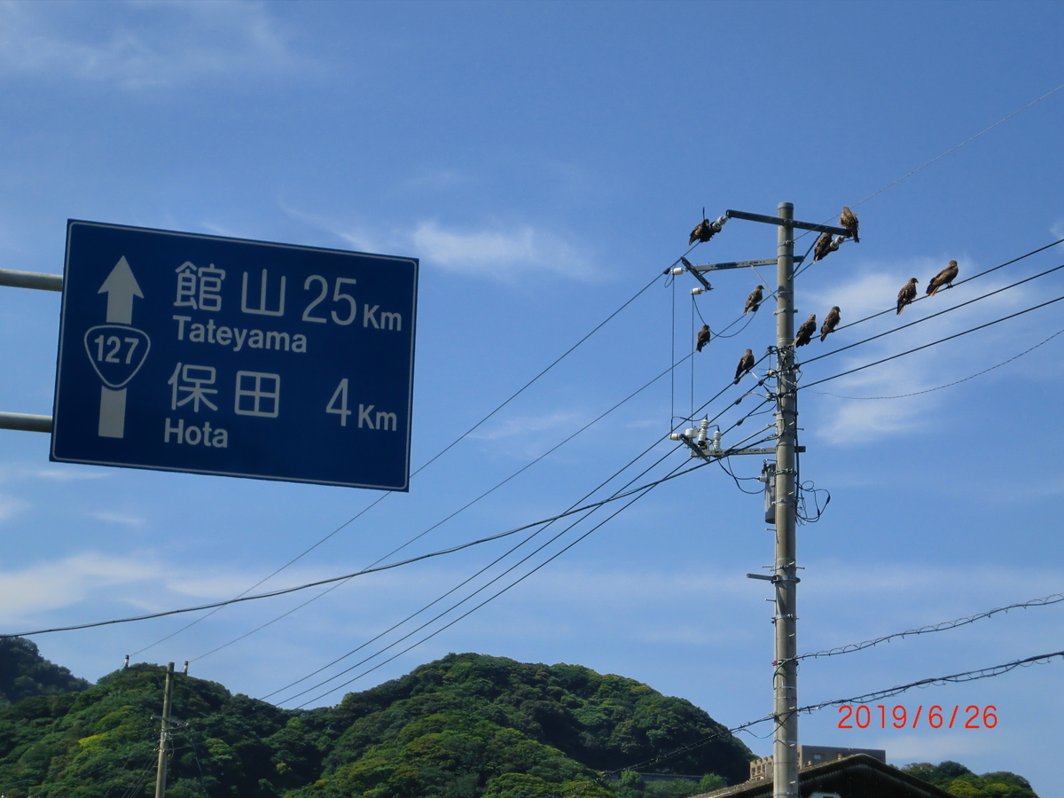 f:id:takakotakakosun:20190705145548j:plain f:id:takakotakakosun:20190705145548j:plain