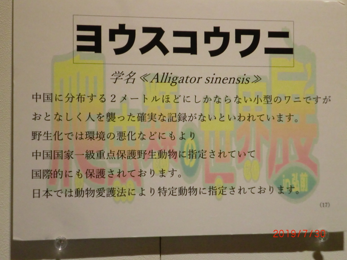 f:id:takakotakakosun:20190731113244j:plain f:id:takakotakakosun:20190731113244j:plain