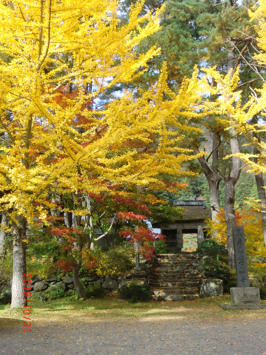 f:id:takakotakakosun:20191102214359j:plain f:id:takakotakakosun:20191102214359j:plain