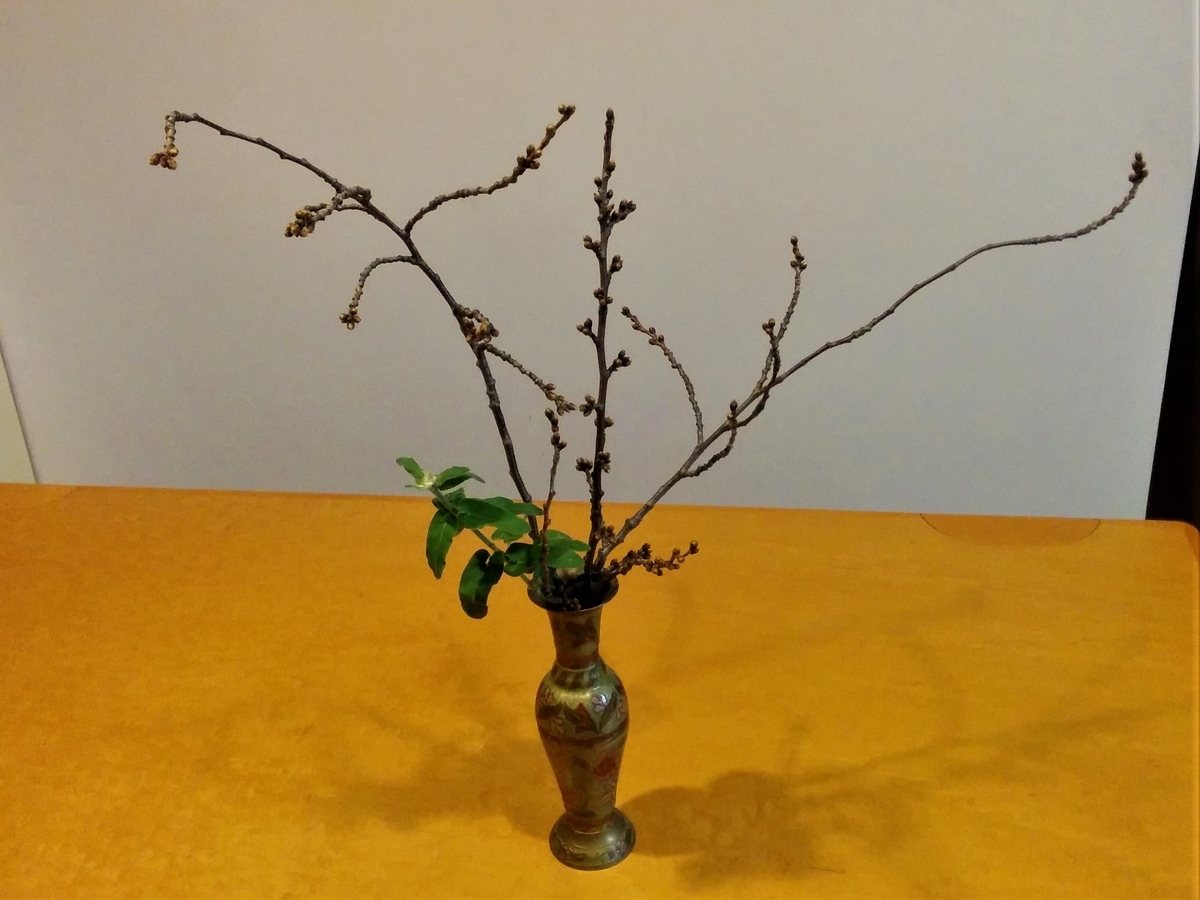 f:id:takakotakakosun:20200308191013j:plain f:id:takakotakakosun:20200308191013j:plain