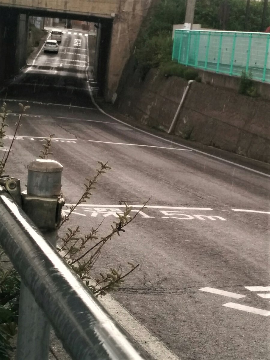 f:id:takakotakakosun:20200630161350j:plain f:id:takakotakakosun:20200630161350j:plain