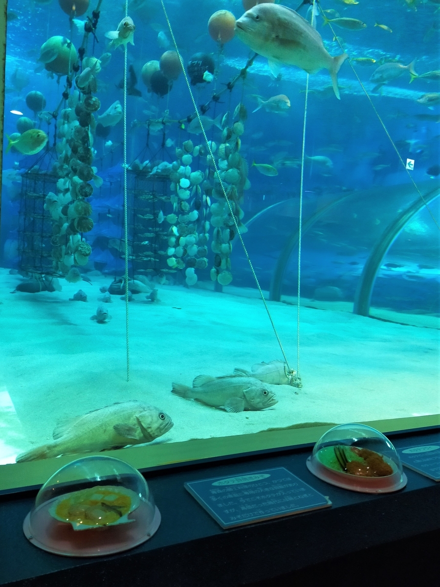 f:id:takakotakakosun:20210822202834j:plain