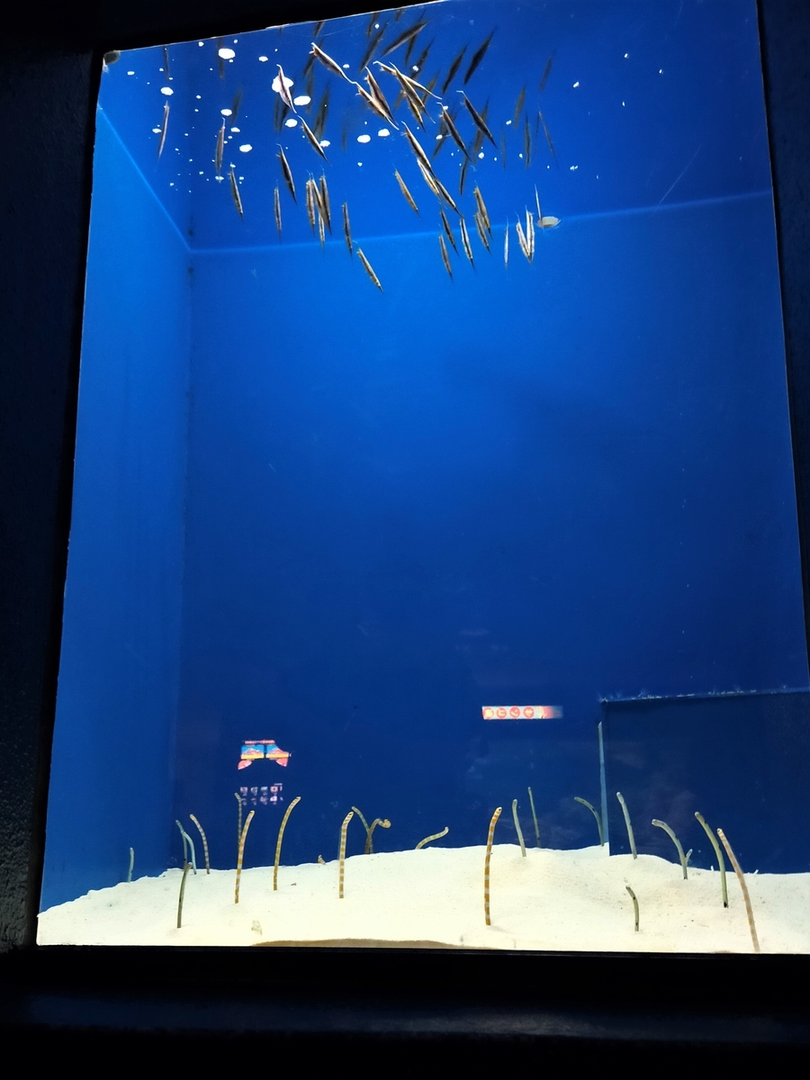 f:id:takakotakakosun:20210822202911j:plain