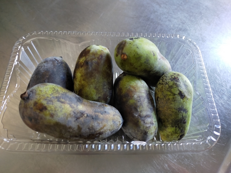 f:id:takakotakakosun:20211105200330j:plain