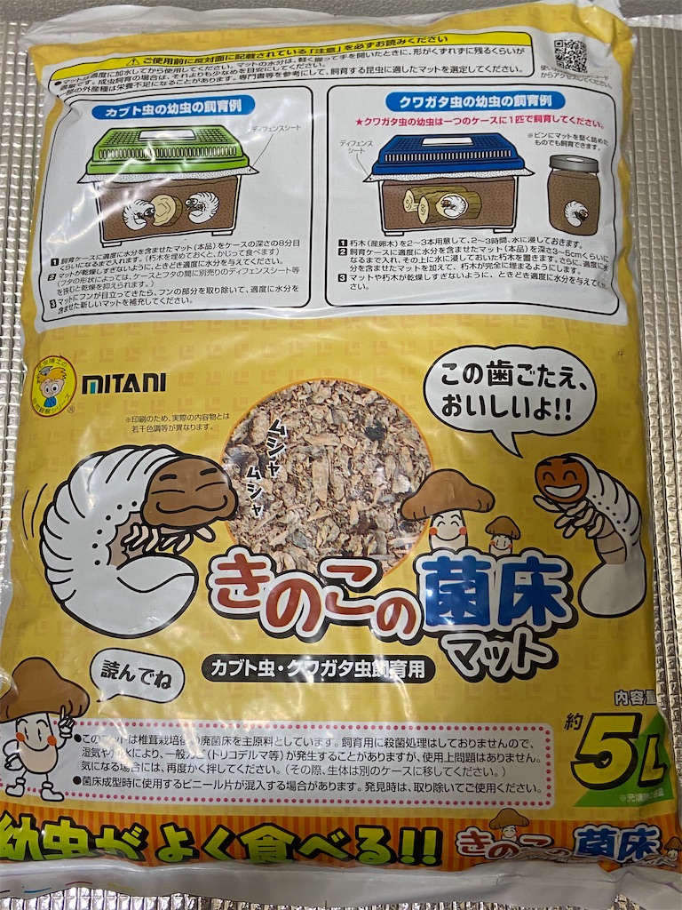 クワガタ幼虫の飼い方教えます おやじ情報