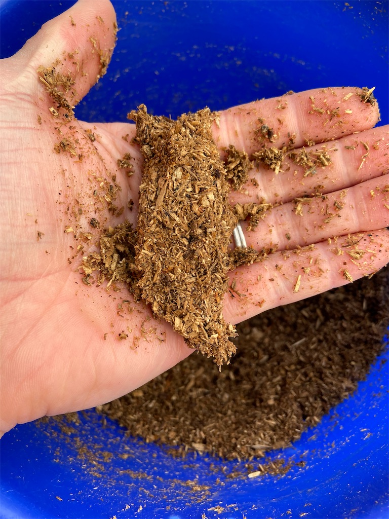 f:id:takakusaya-man:20200503105205j:image