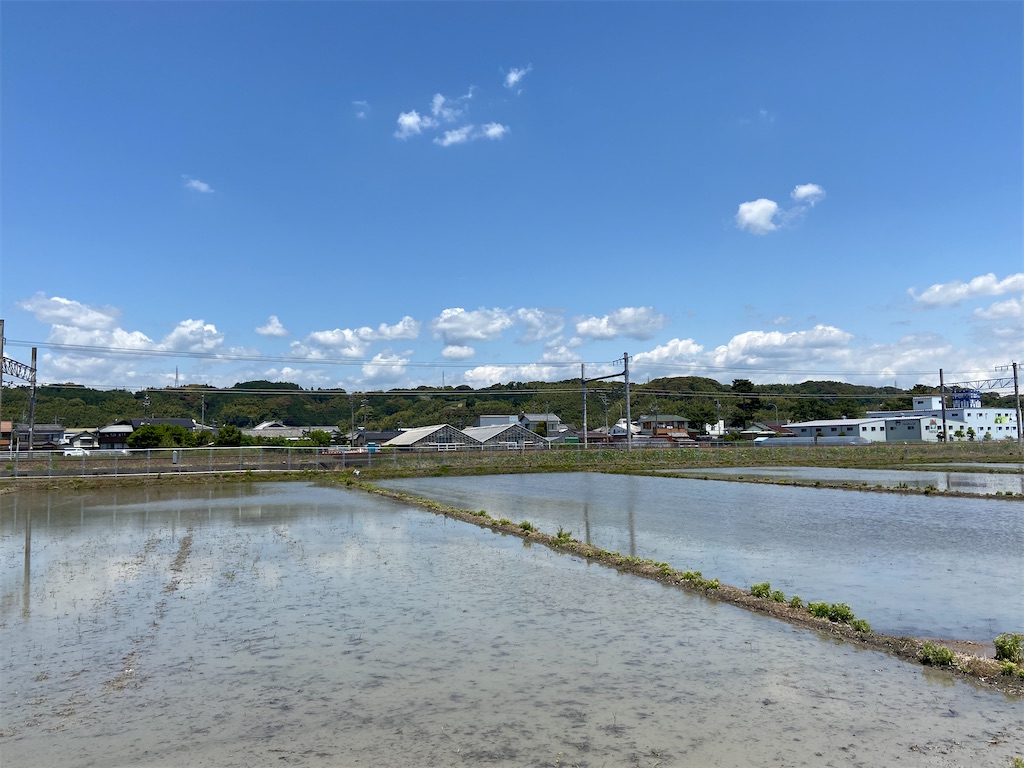 f:id:takakusaya-man:20200529190322j:image f:id:takakusaya-man:20200529190322j:image