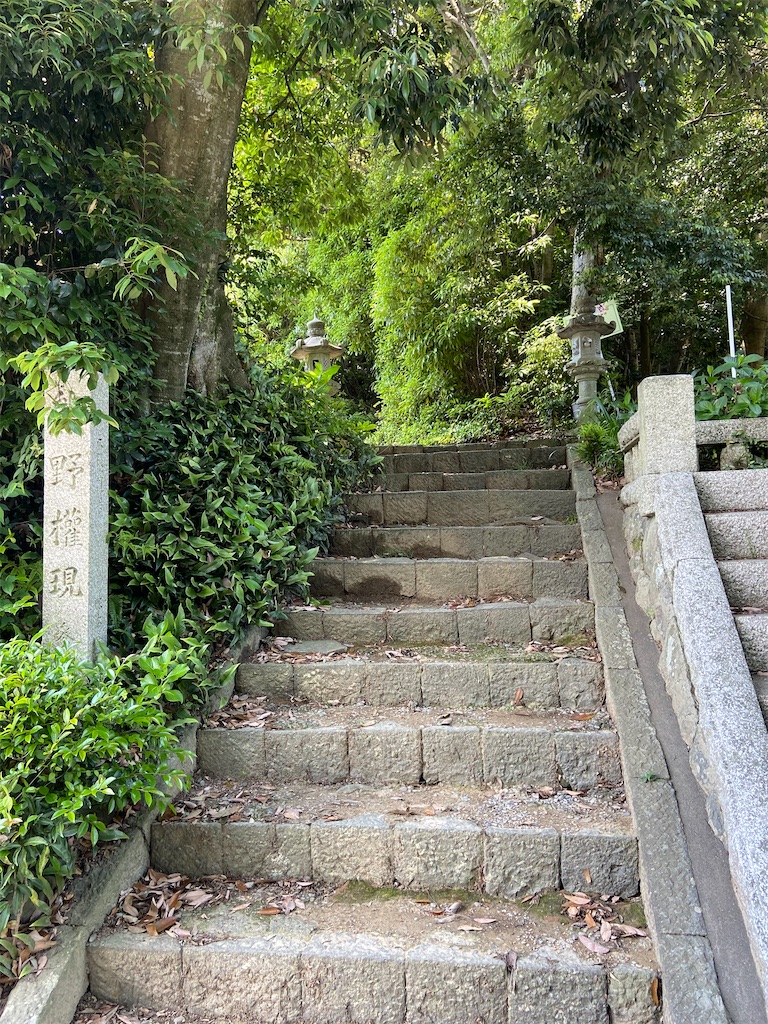 f:id:takakusaya-man:20200529191159j:image f:id:takakusaya-man:20200529191159j:image