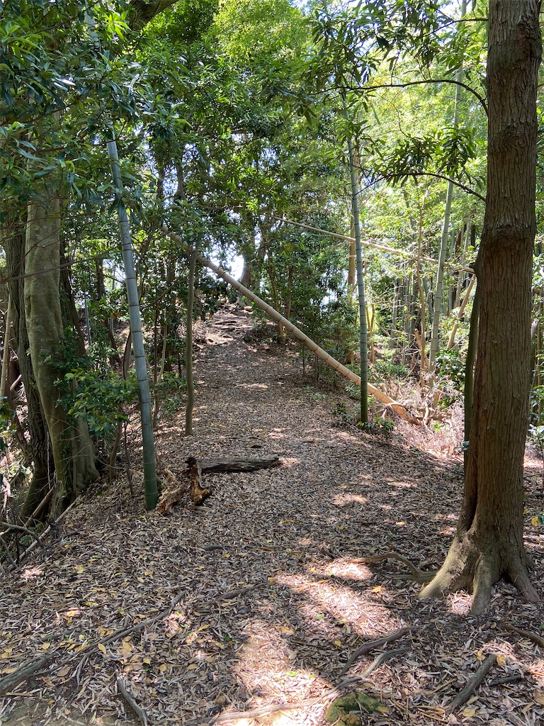 f:id:takakusaya-man:20200529191458j:image f:id:takakusaya-man:20200529191458j:image