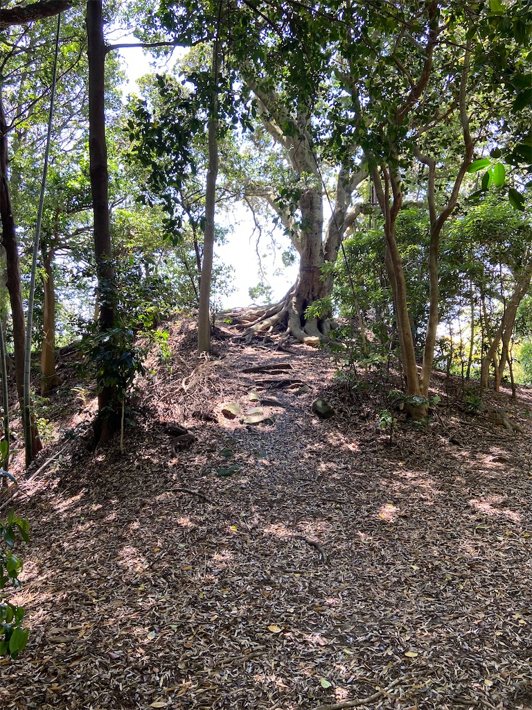 f:id:takakusaya-man:20200529191526j:image f:id:takakusaya-man:20200529191526j:image