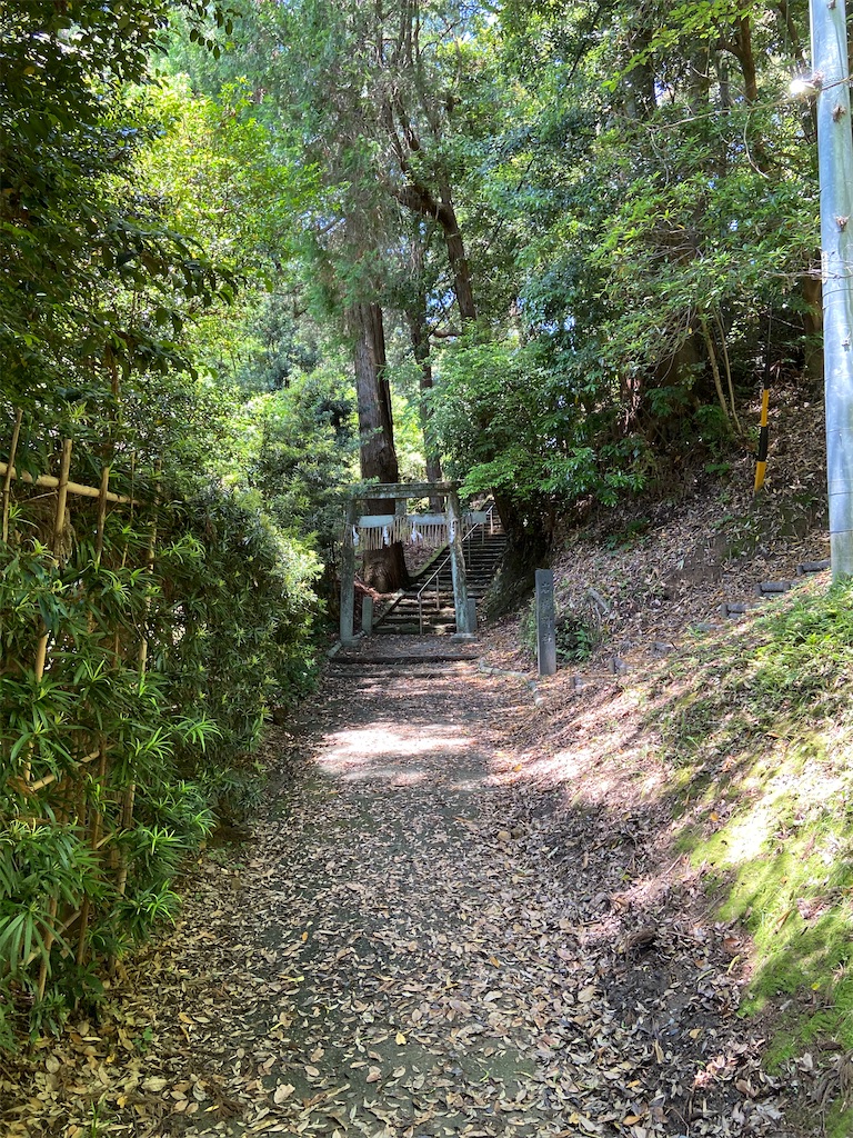 f:id:takakusaya-man:20200529191644j:image f:id:takakusaya-man:20200529191644j:image