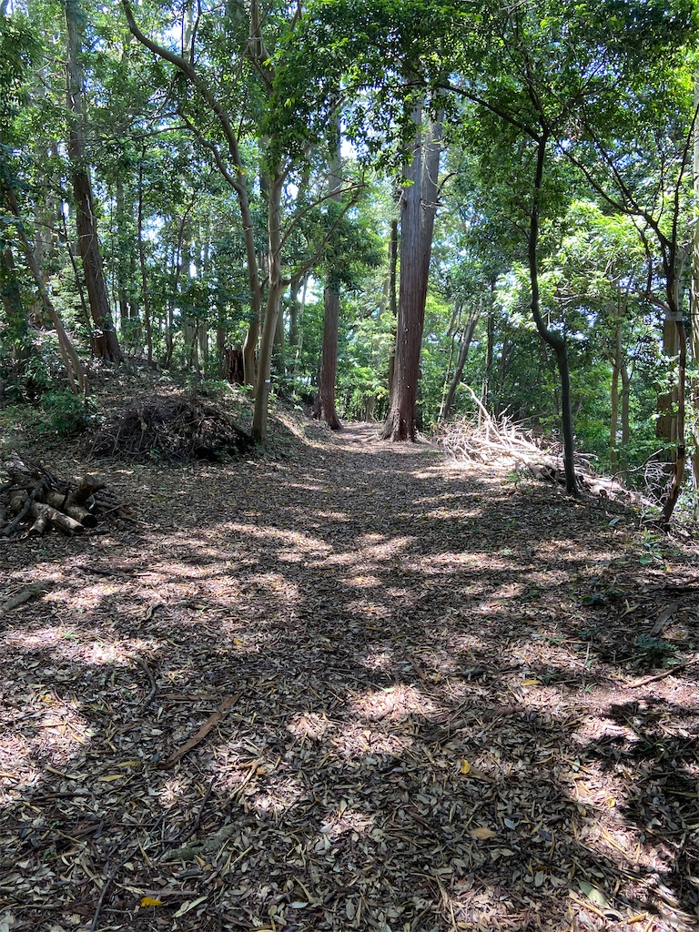 f:id:takakusaya-man:20200529192120j:image f:id:takakusaya-man:20200529192120j:image