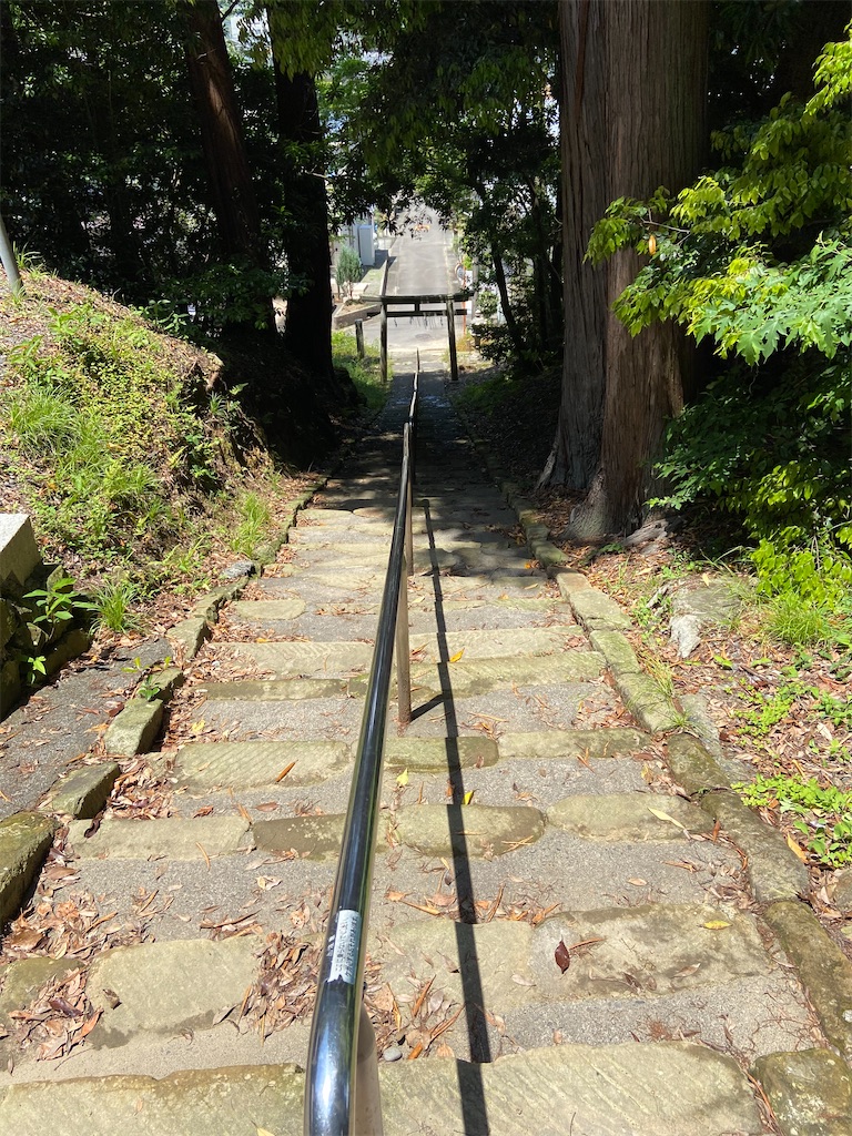 f:id:takakusaya-man:20200529192216j:image f:id:takakusaya-man:20200529192216j:image