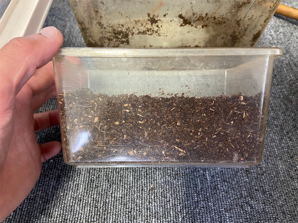 クワガタ越冬準備方法 おやじ情報