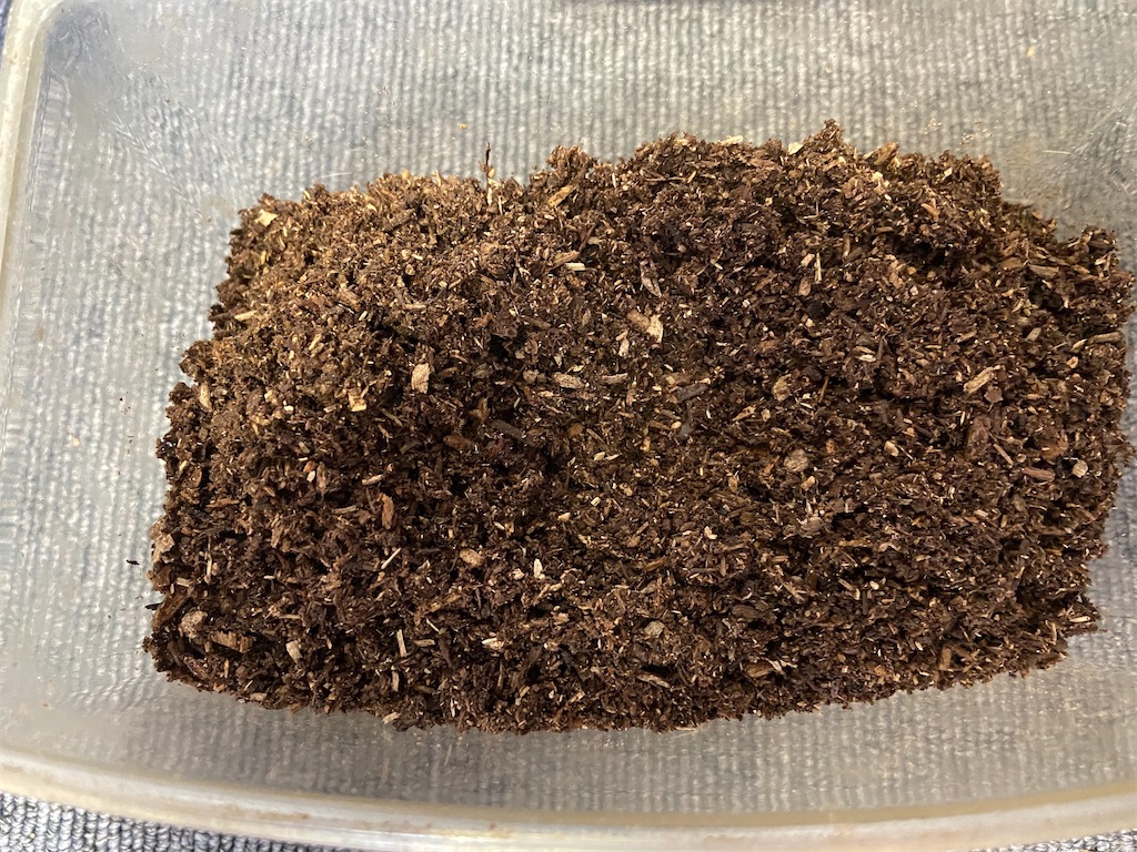 クワガタ越冬準備方法 おやじ情報
