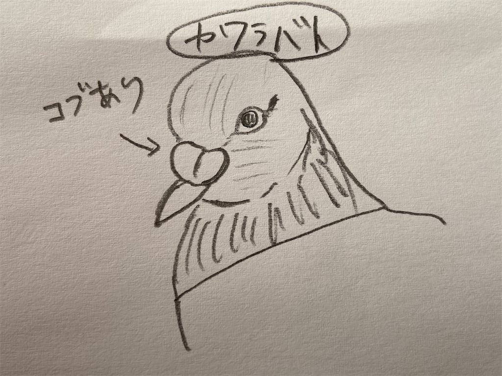 f:id:takakusaya-man:20210123102937j:image