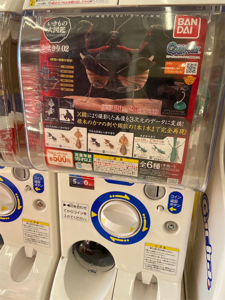 ♡ おおかまきり 様、専用♡※他の方はご遠慮ください‼️ いきもの大図鑑】かまきり02のオススメ情報をご紹介
