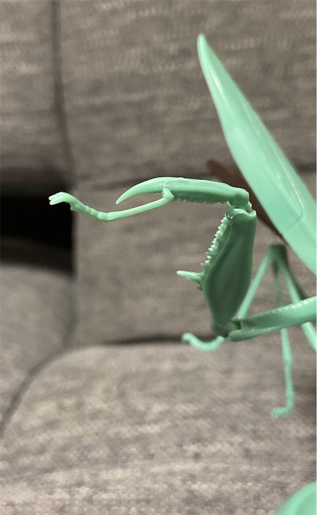 ♡ おおかまきり 様、専用♡※他の方はご遠慮ください‼️ いきもの大図鑑】かまきり02のオススメ情報をご紹介