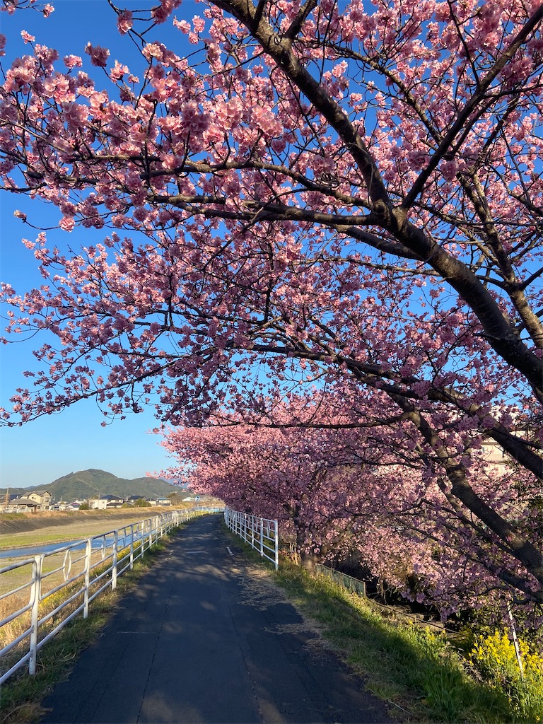 f:id:takakusaya-man:20220306130229j:image