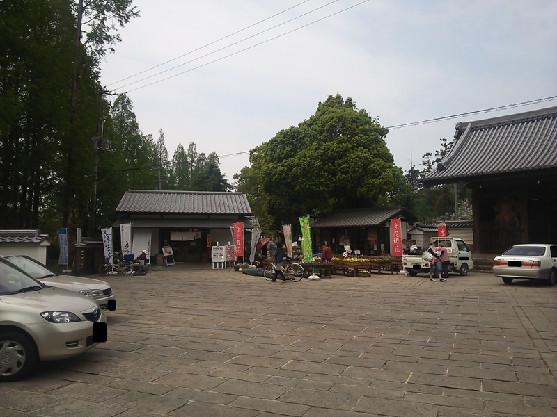 イメージ 3