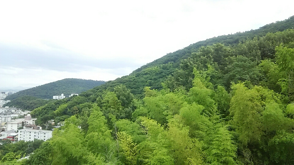 f:id:takamatsugohan:20180705204238j:plain f:id:takamatsugohan:20180705204238j:plain