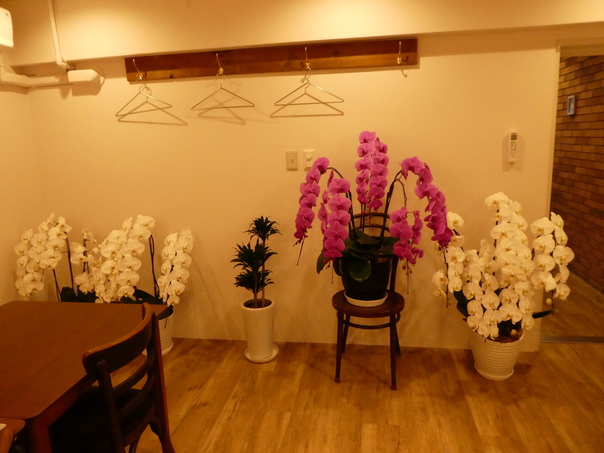 f:id:takamatsugohan:20190322223954j:plain f:id:takamatsugohan:20190322223954j:plain