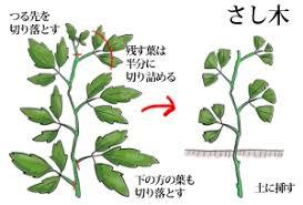 f:id:takami1073:20180420061650j:plain f:id:takami1073:20180420061650j:plain