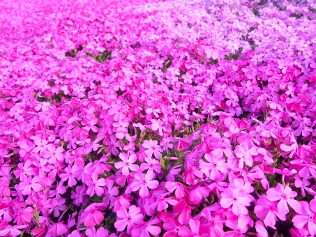 f:id:takami1073:20180521054043j:plain f:id:takami1073:20180521054043j:plain
