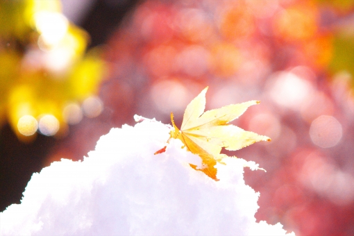 f:id:takami1073:20181215213312j:plain f:id:takami1073:20181215213312j:plain