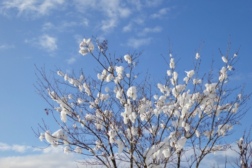 f:id:takami1073:20190304052718j:plain f:id:takami1073:20190304052718j:plain