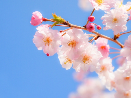 f:id:takami1073:20190421060844j:plain f:id:takami1073:20190421060844j:plain