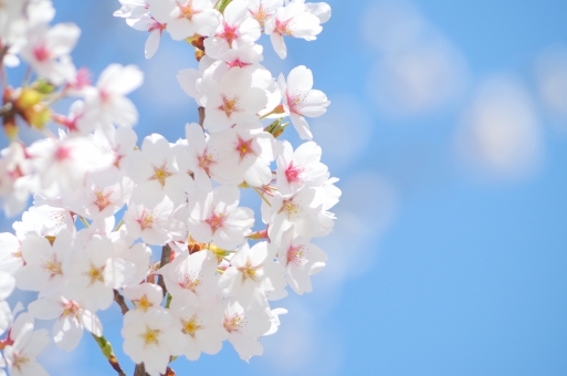 f:id:takami1073:20190501105847j:plain f:id:takami1073:20190501105847j:plain