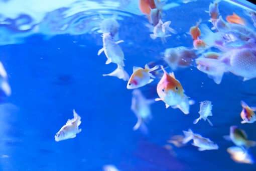 f:id:takami1073:20190813071635j:plain f:id:takami1073:20190813071635j:plain