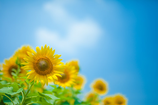 f:id:takami1073:20190815071704j:plain f:id:takami1073:20190815071704j:plain