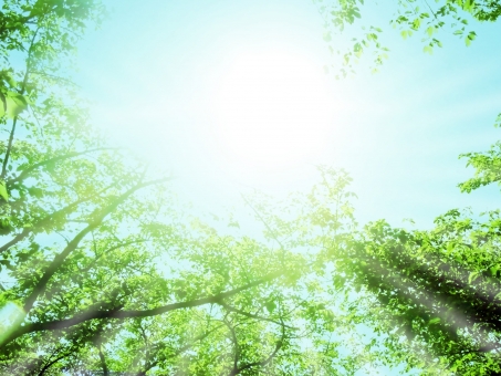 f:id:takami1073:20190912060915j:plain f:id:takami1073:20190912060915j:plain