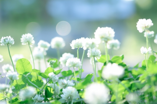 f:id:takami1073:20191027231819j:plain f:id:takami1073:20191027231819j:plain