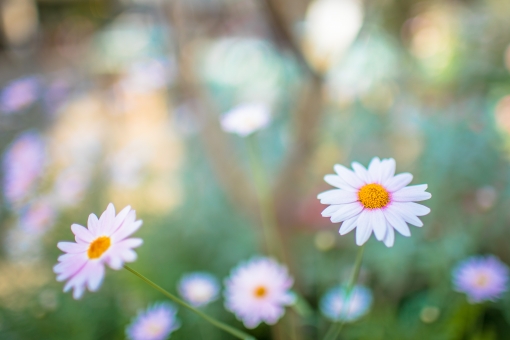 f:id:takami1073:20191109064231j:plain f:id:takami1073:20191109064231j:plain