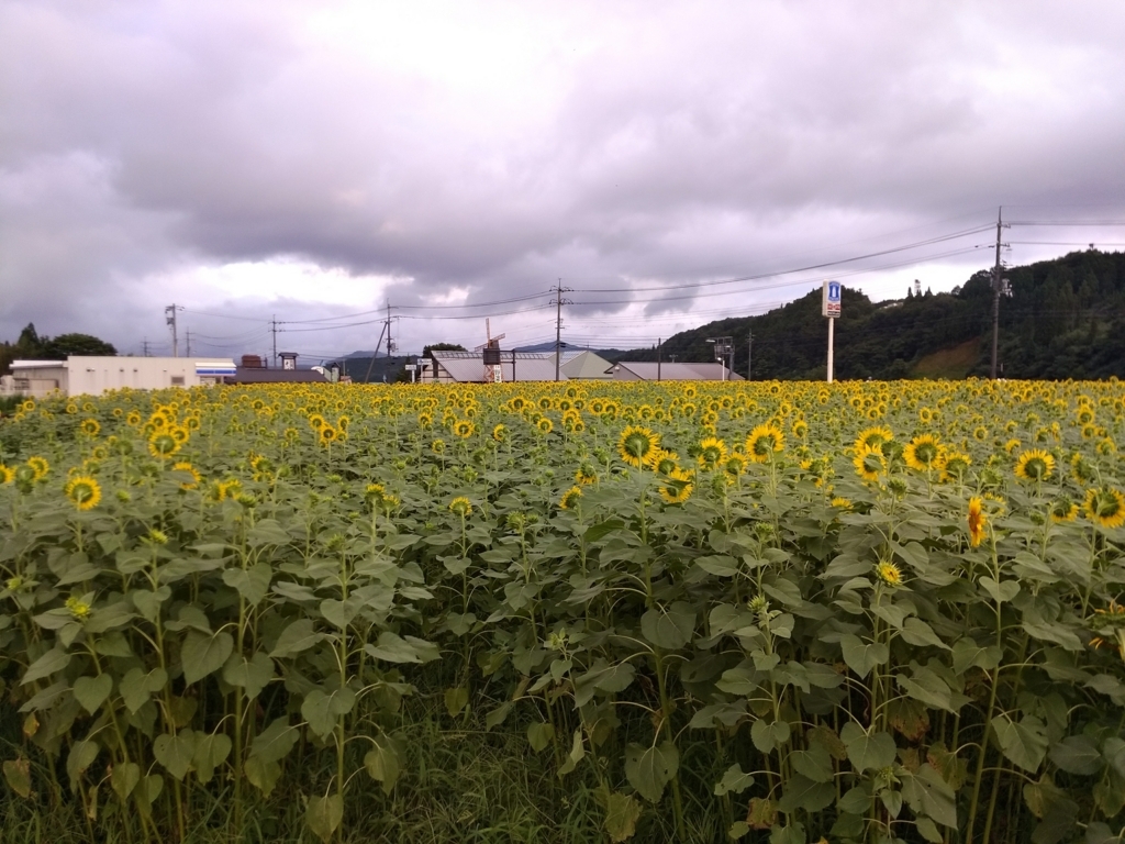 f:id:takamiaoi:20170822161811j:plain