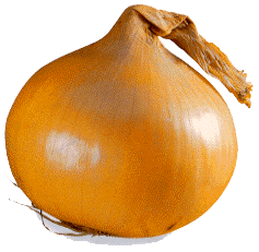 f:id:takamiaoi:20170906231220g:plain f:id:takamiaoi:20170906231220g:plain
