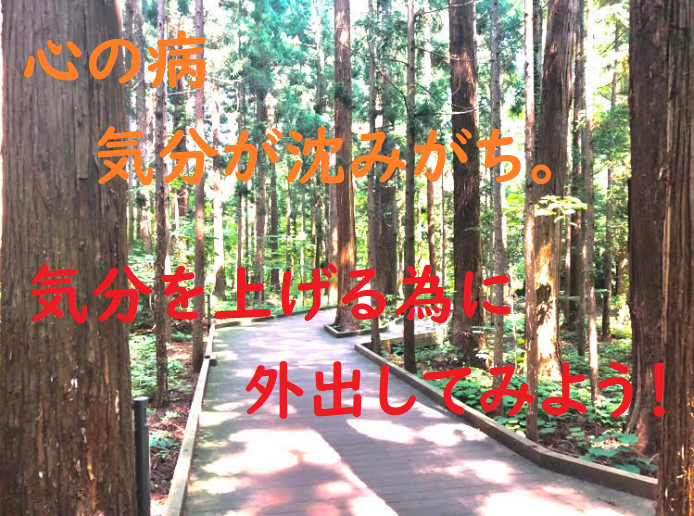 f:id:takamine_sorolife:20190823114854p:plain