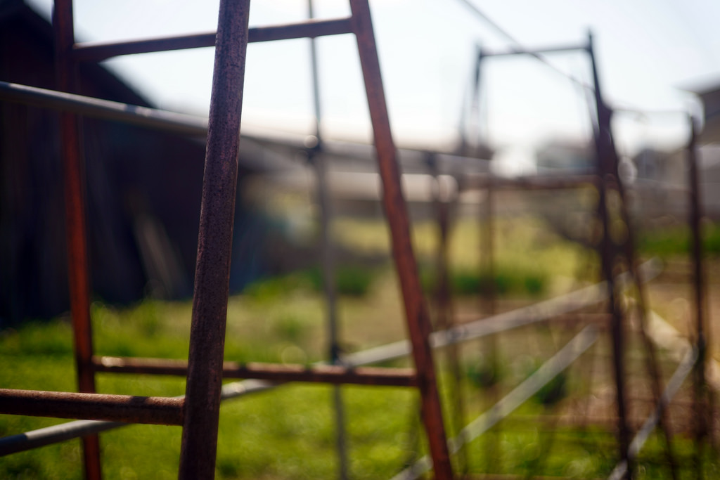 f:id:takamints:20150912183433j:plain f:id:takamints:20150912183433j:plain