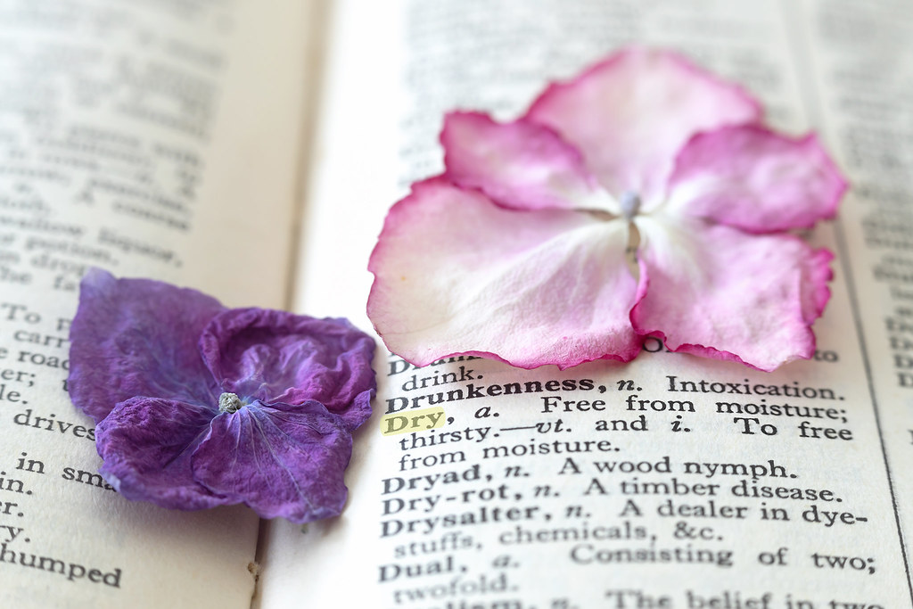 f:id:takamints:20201130212710j:plain