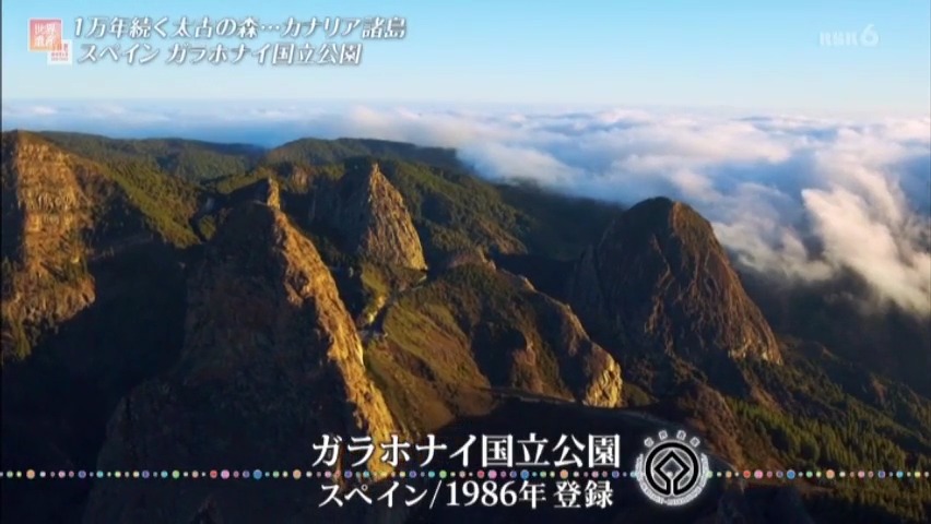 幻想的な滝雲と太古の昔から続いている照葉樹の森 ガラホナイ国立公園 と ᴗ で学ぶ世界遺産