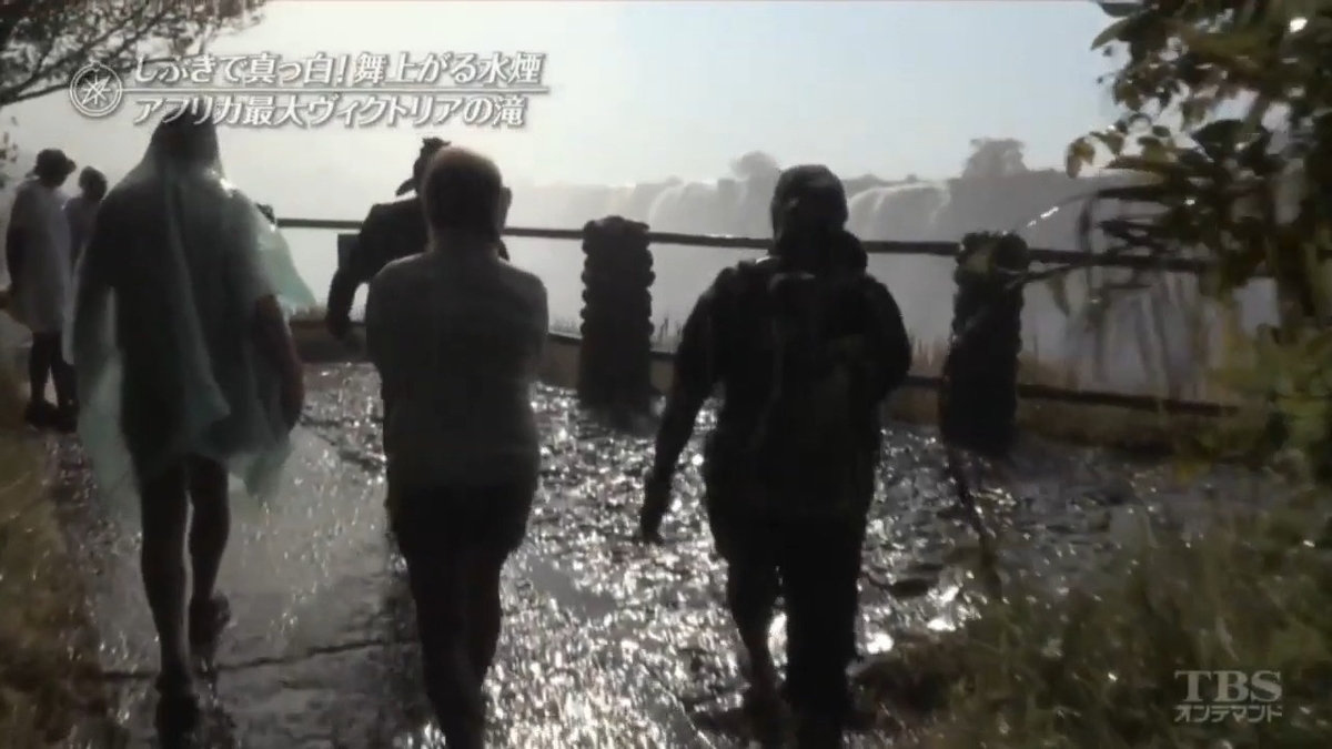 轟音とどろくアフリカ最大の瀑布！ヴィクトリアの滝 - (#^.^#)と(⁎˃ᴗ