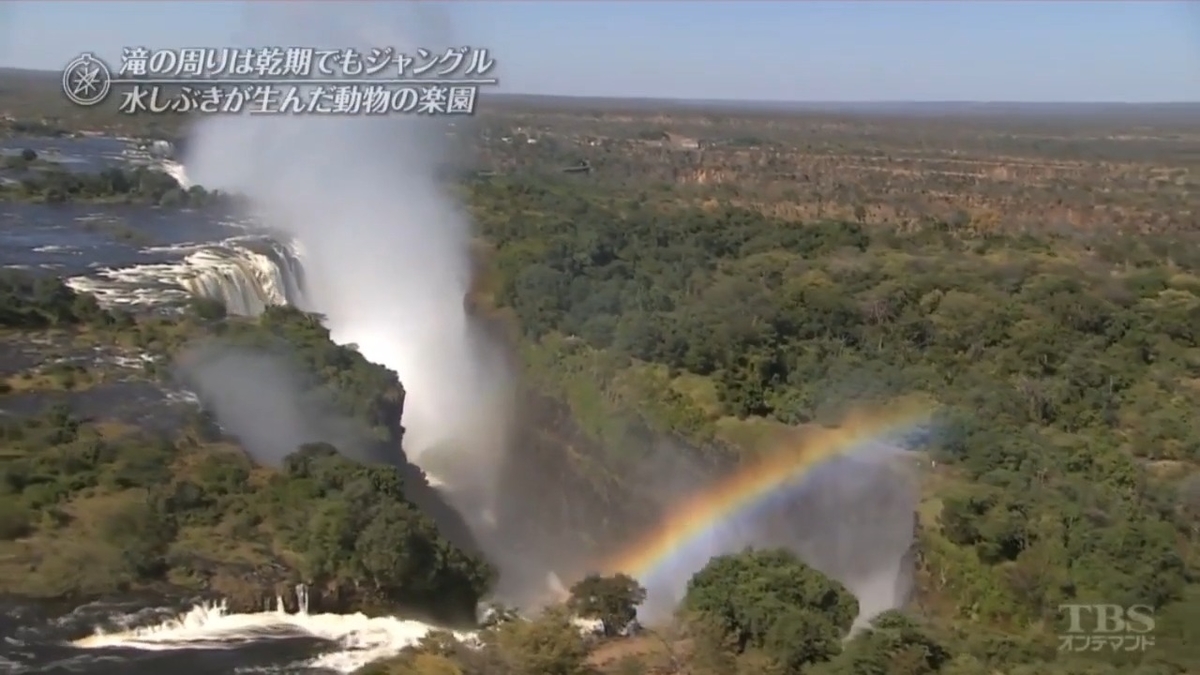 轟音とどろくアフリカ最大の瀑布！ヴィクトリアの滝 - (#^.^#)と(⁎˃ᴗ