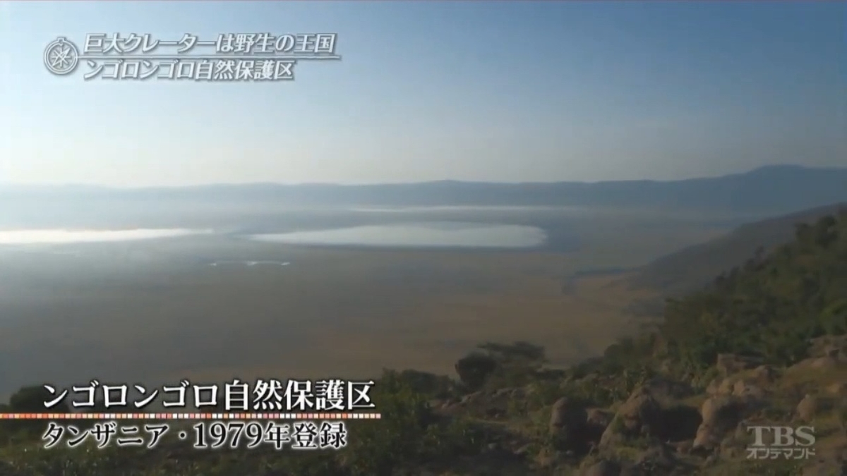 f:id:takanasuougi:20210205101005j:plain