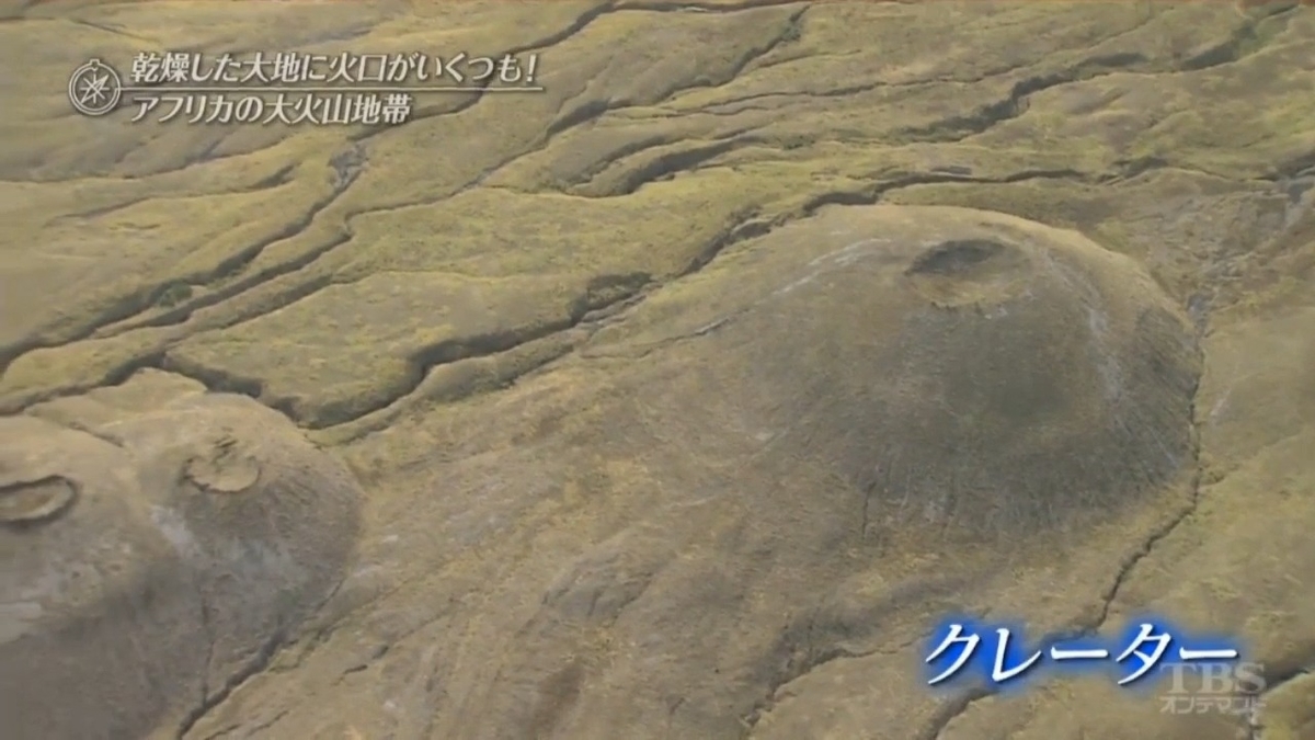 f:id:takanasuougi:20210205101400j:plain
