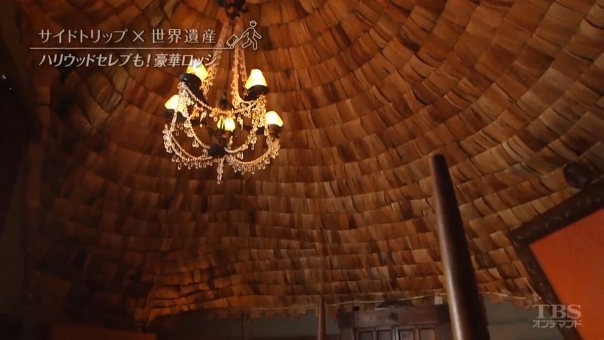 f:id:takanasuougi:20210205124956j:plain