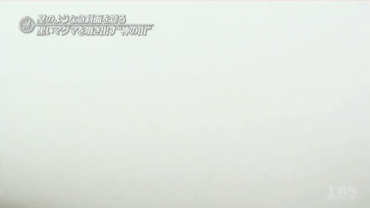 f:id:takanasuougi:20210205132257j:plain