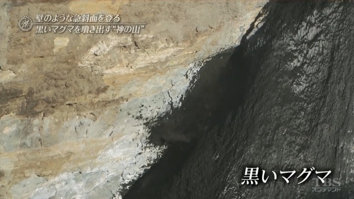 f:id:takanasuougi:20210205132702j:plain